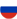 RUS flag